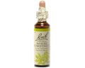 Marronnier Blanc White Chestnut 20ml - Fleur de Bach