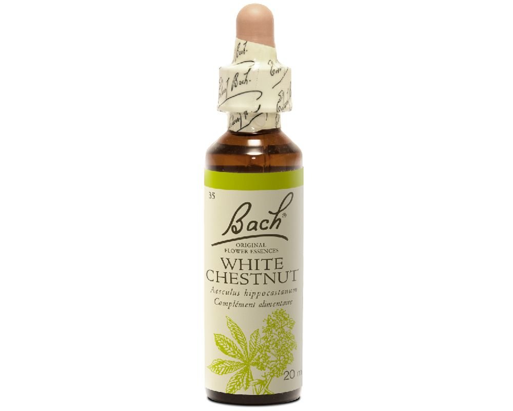 Marronnier Blanc White Chestnut 20ml - Fleur de Bach