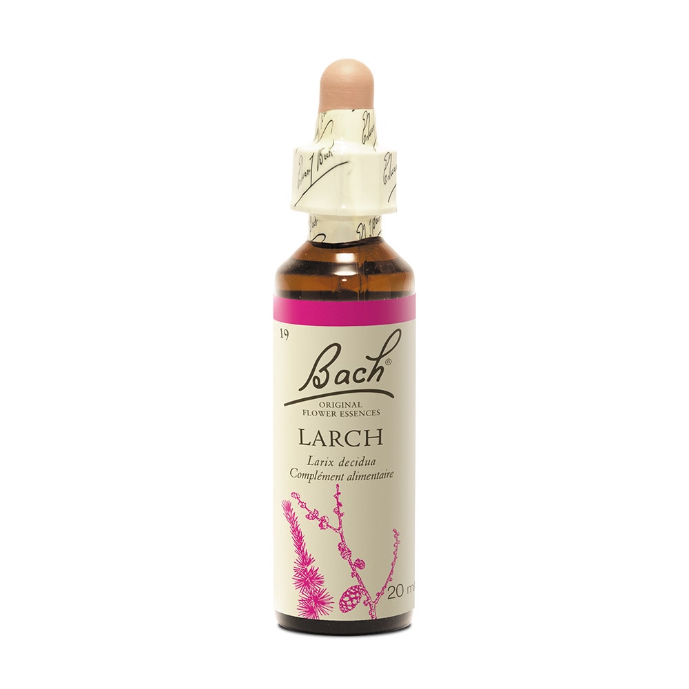 Larch - Fleurs de Bach