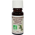HE Eucalyptus Radiata 10ml Ceven Aromes