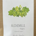 Alchémille Vulgaire - 50 g - Herbier de Gasgogne