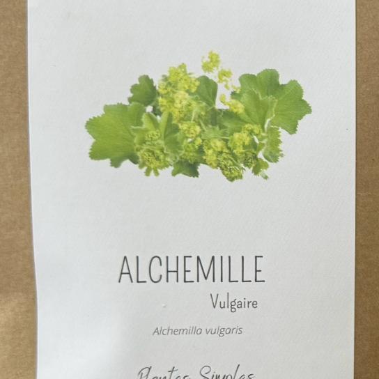 Alchémille Vulgaire - 50 g - Herbier de Gasgogne
