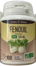Fenouil Semence 300 mg 100 Gélules Herbes & plantes