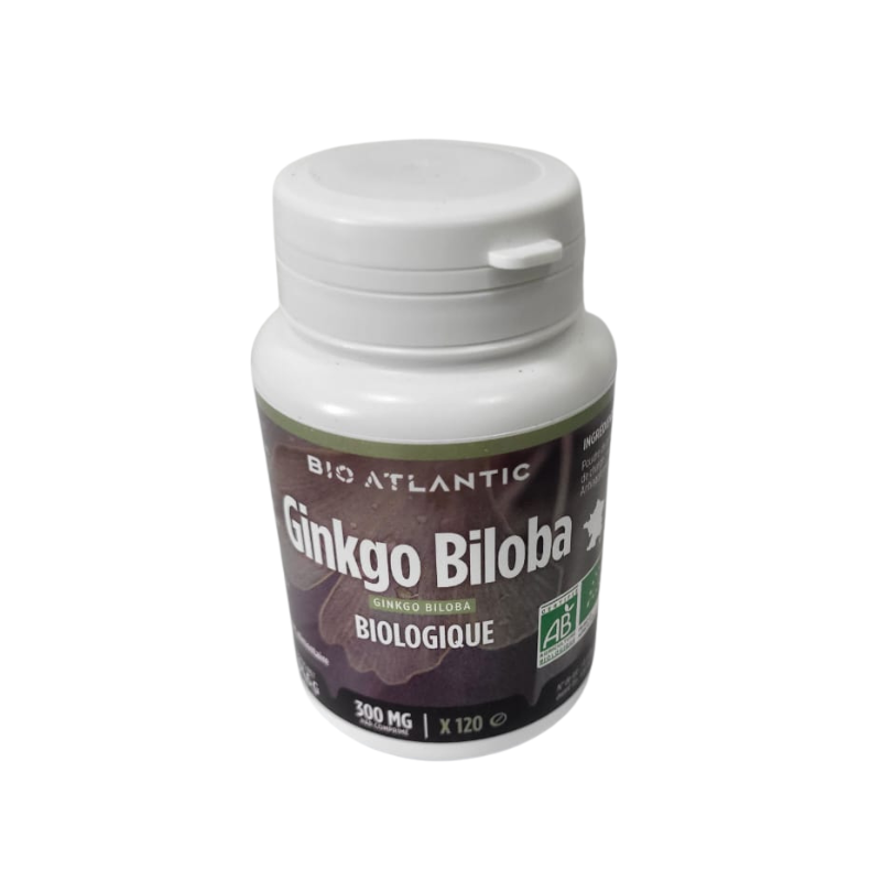 Ginkgo Biloba Feuille 120 Comp.Gph