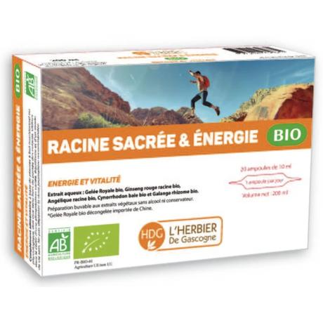 Ginseng & Gelée Royale 20 Ampoules HDG
