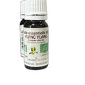 HE Ylang Ylang Bio 10 ml Ceven Aromes