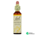 Hornbeam Charme - Fleur de Bach 20ml