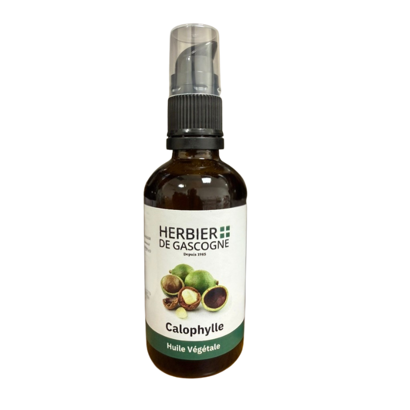 Huile Calophyllle 50Ml Hdg