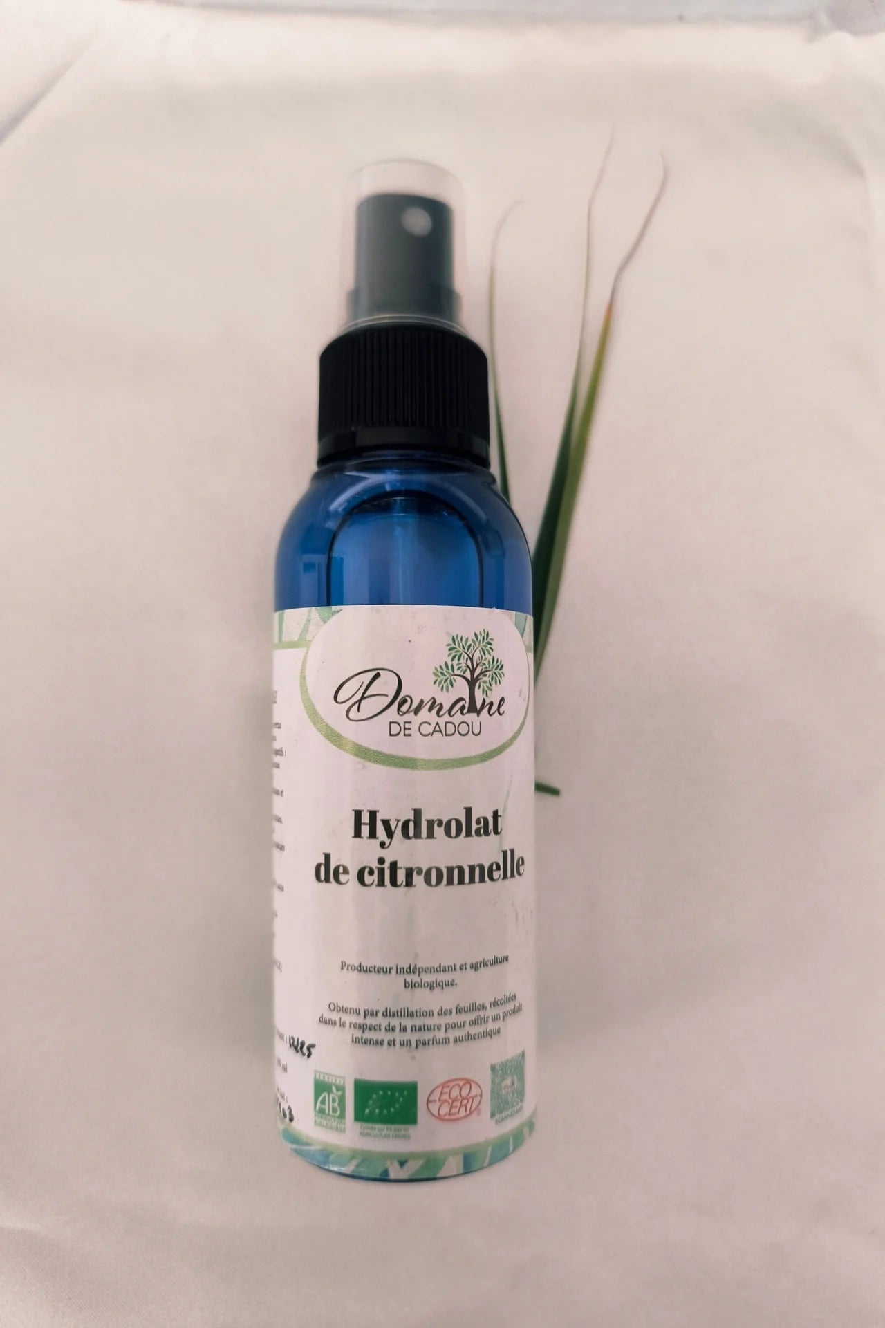 Hydrolat de citronnelle