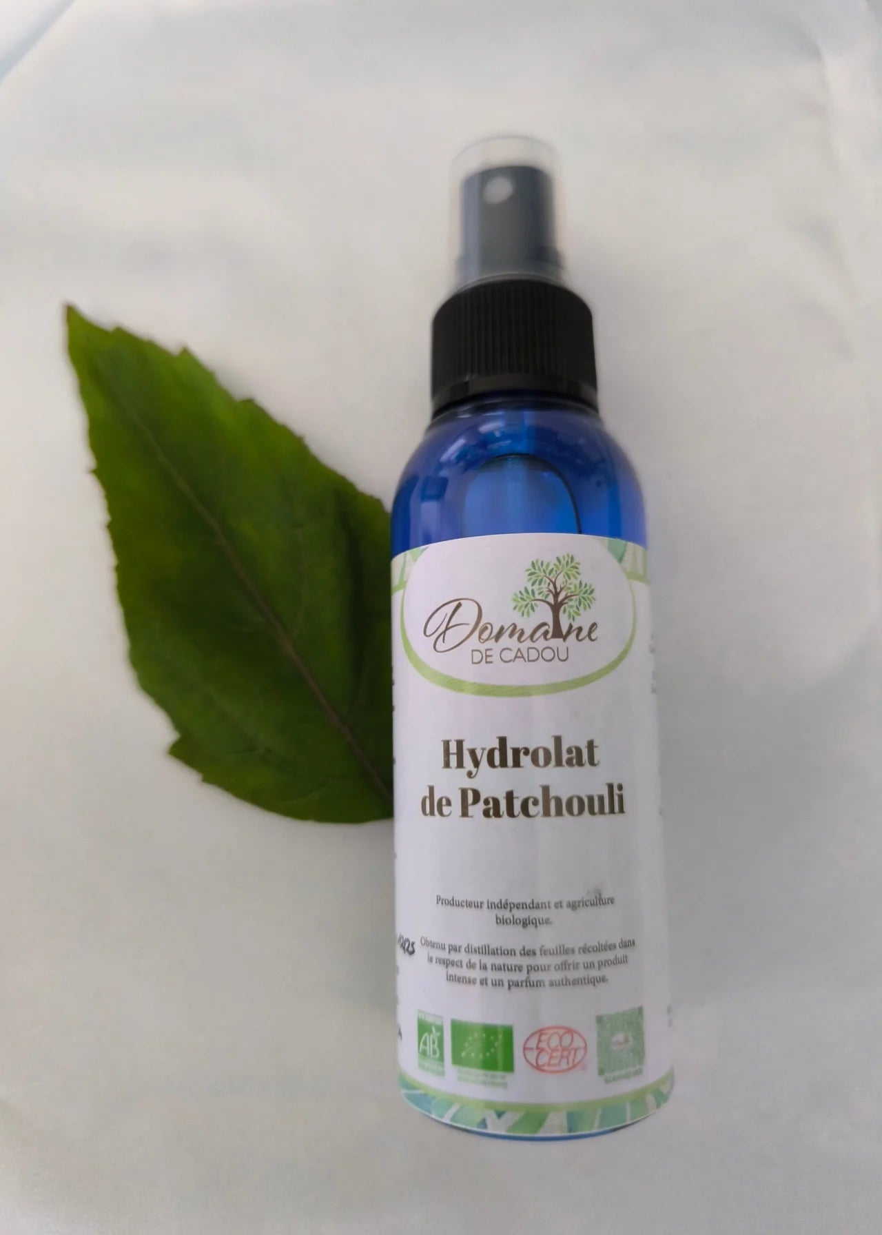 Hydrolat de patchouli