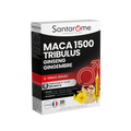 Maca Tribulus 20 Ampoules Santarome