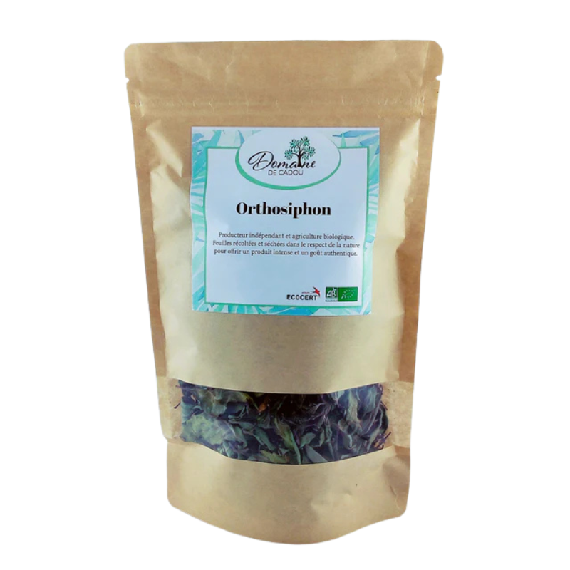 Orthosiphon 15 G - Domaine de Cadou