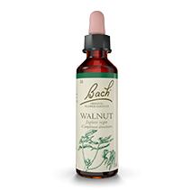 Walnut Noyer - Fleur de Bach 20 ml