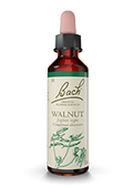 Walnut Noyer - Fleur de Bach 20 ml