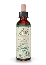 Walnut Noyer - Fleur de Bach 20 ml