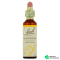 Hornbeam Charme - Fleur de Bach 20ml