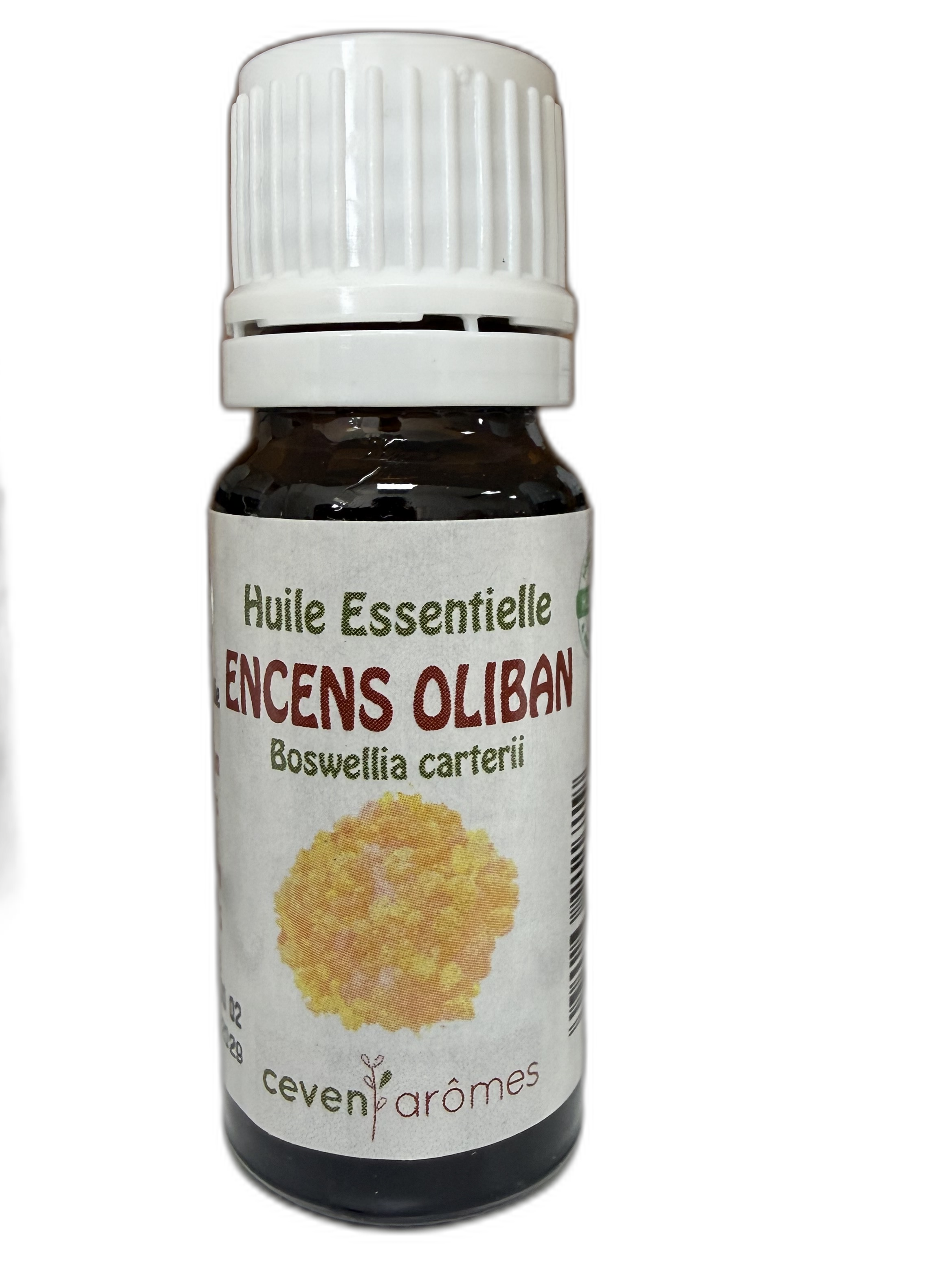 huile-essentielle-encens-oliban.png