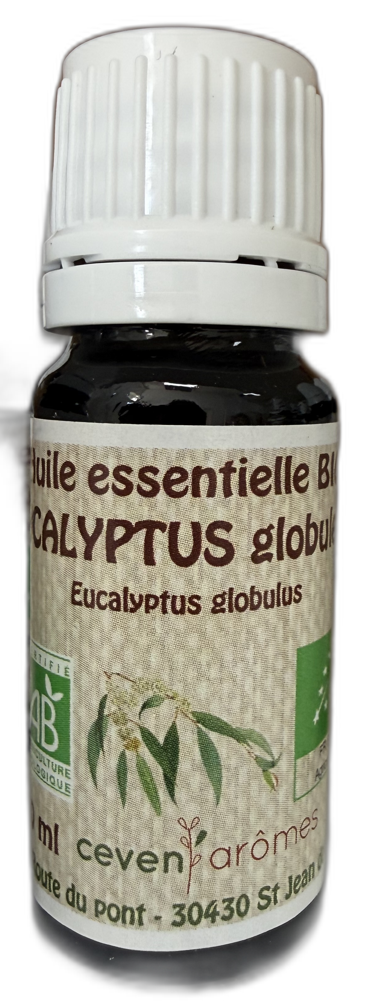 huile-essentielle-eucalyptus-globulus-10ml.png