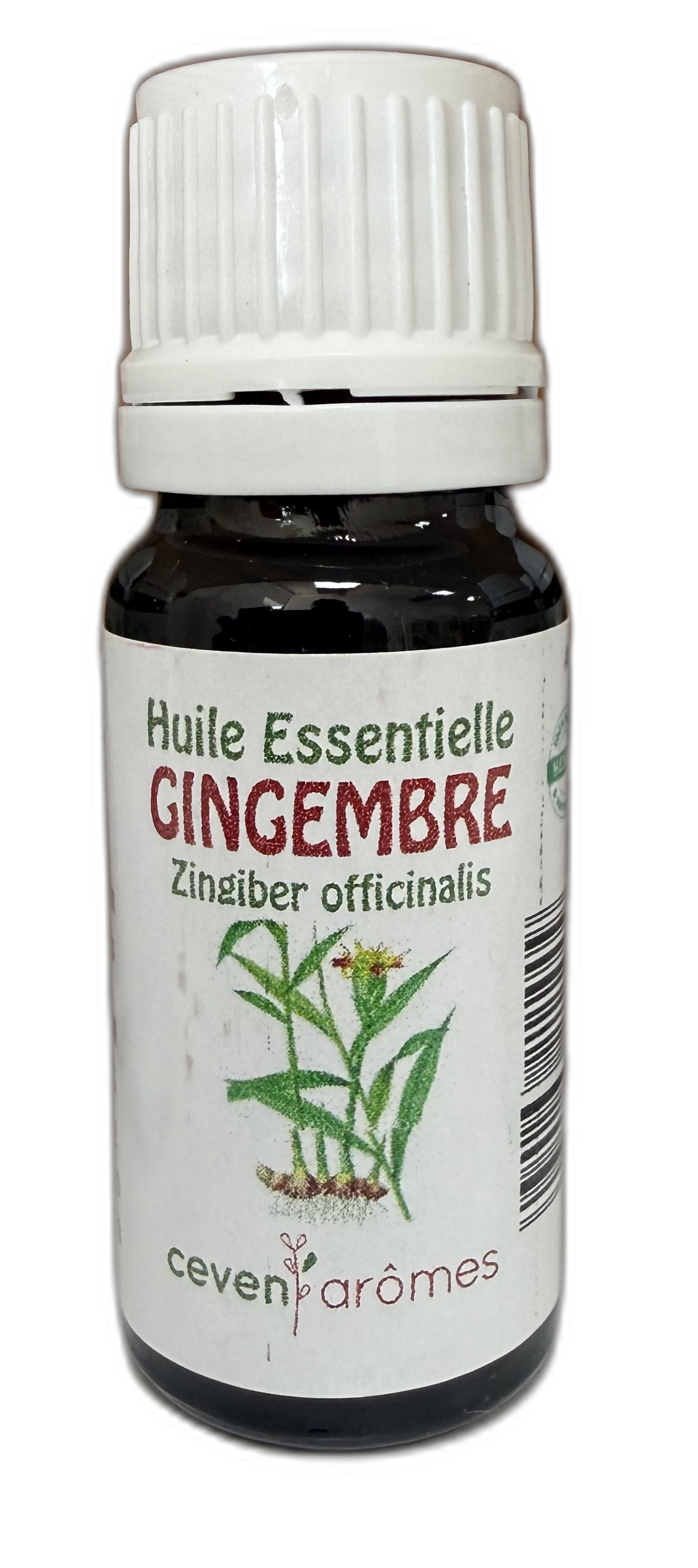 huile-essentielle-gingembre.png