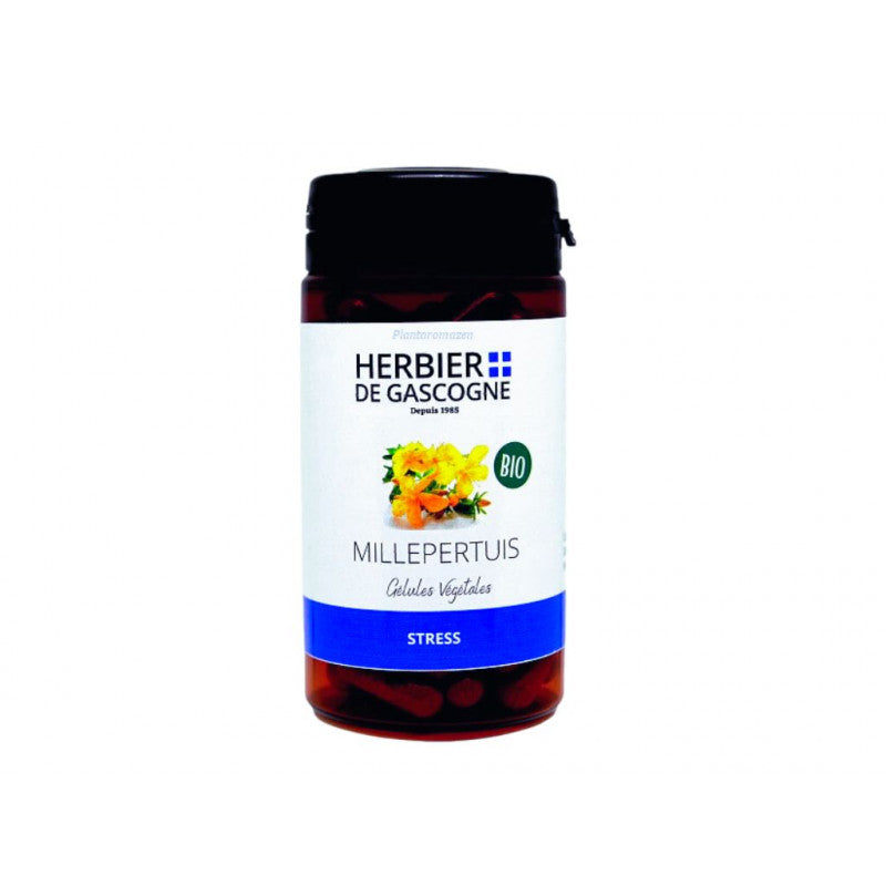 Millepertuis 90 Gélules 250 mg HDG